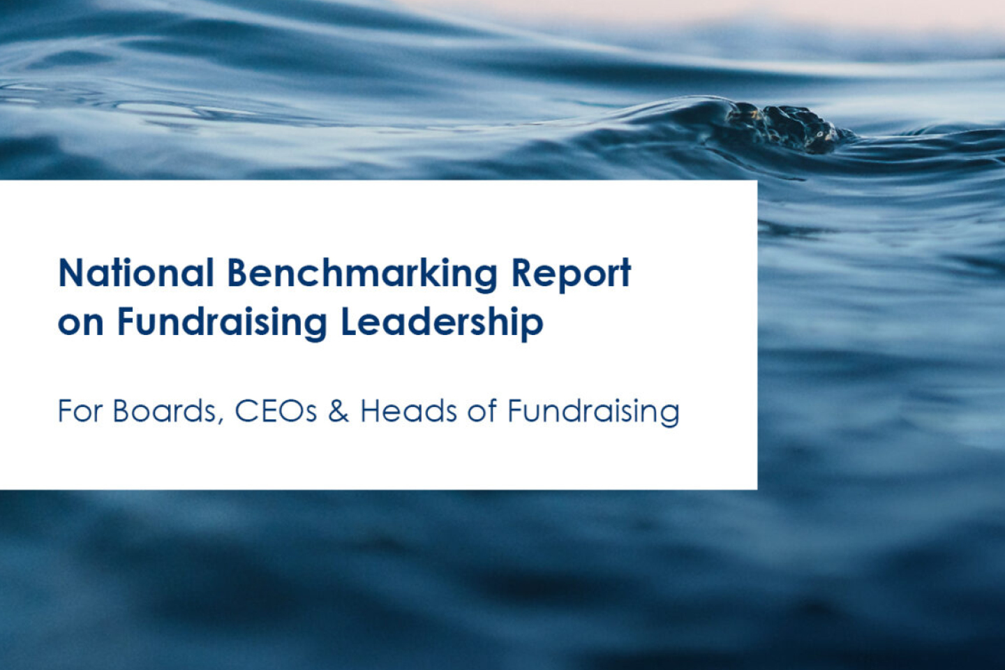 National benchmarking Report on Fundraising Leadership